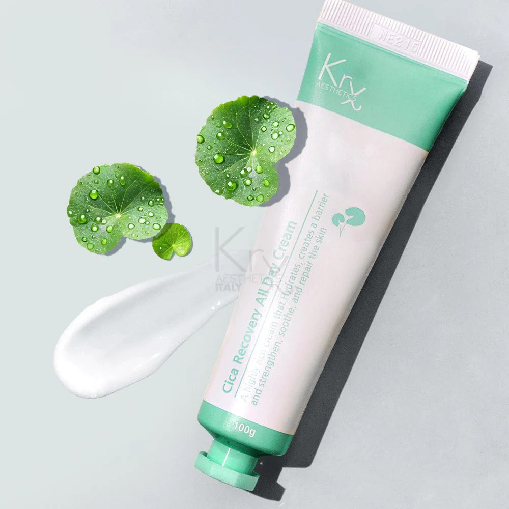 Big Cica Recovery All Day Cream