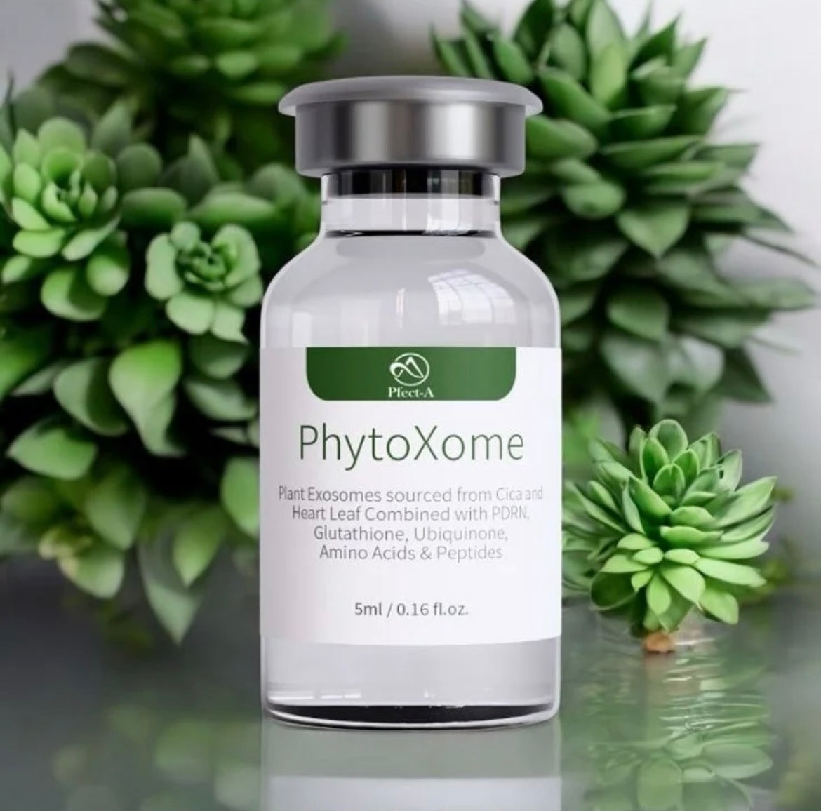 Pfect-A — PhytoXome Exosomenlösung